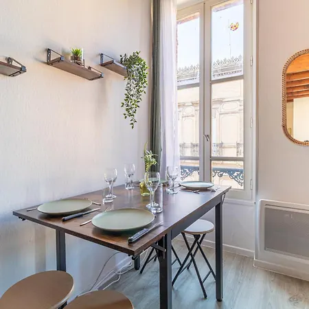 Duplex Cosy En Hypercentre Toulouse