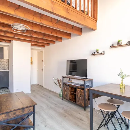 Duplex Cosy En Hypercentre * Toulouse