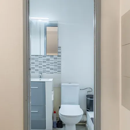 Duplex Cosy En Hypercentre Toulouse