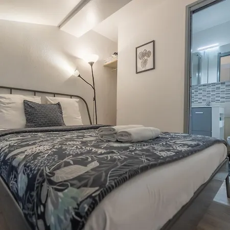 Duplex Cosy En Hypercentre