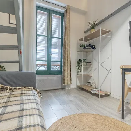 Διαμέρισμα Duplex Cosy En Hypercentre Τουλούζη