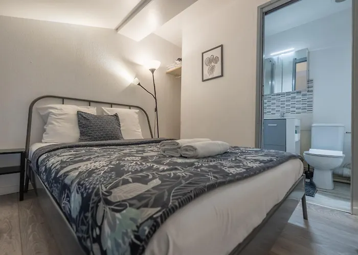 Duplex Cosy En Hypercentre