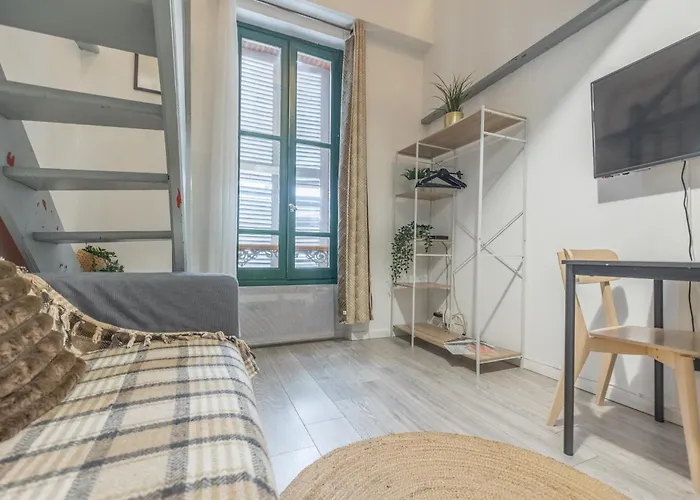 Διαμέρισμα Duplex Cosy En Hypercentre Τουλούζη