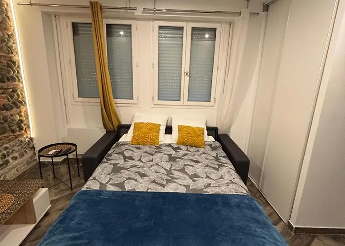 Διαμέρισμα Duplex Cosy En Hypercentre Τουλούζη