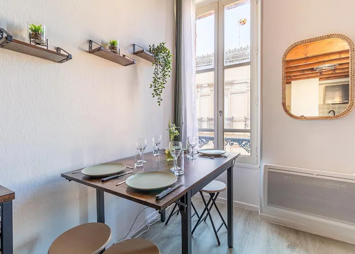 Duplex Cosy En Hypercentre Тулуза