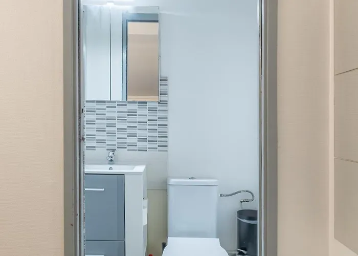 Duplex Cosy En Hypercentre Тулуза