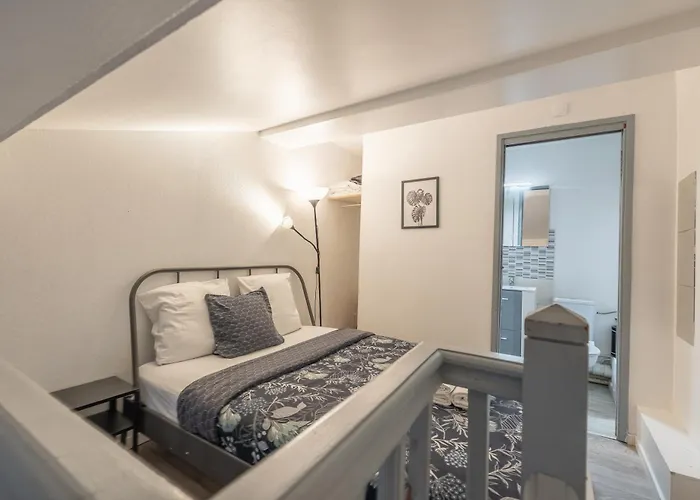 Duplex Cosy En Hypercentre Апартаменты Тулуза