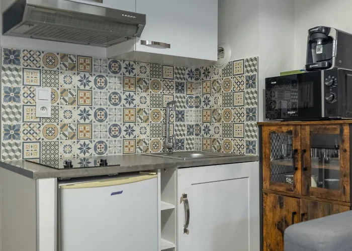 Duplex Cosy En Hypercentre Тулуза